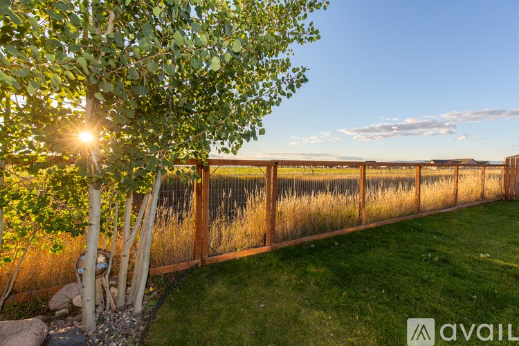 A fence with a grassy area in front and a tree on the left.