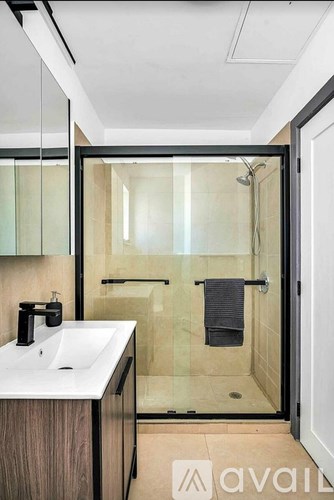 A modern bathroom with a walk-in shower and a white sink.