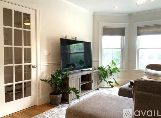 A living room with a television, a couch, and a potted plant.
