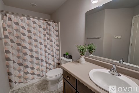 A bathroom with a toilet, sink, and shower curtain.
