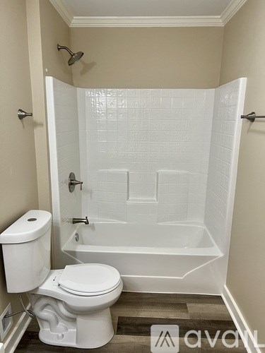 A white toilet is next to a walk-in shower.