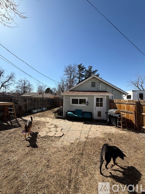 A dog is standing in a backyard with a house and trees in the background.