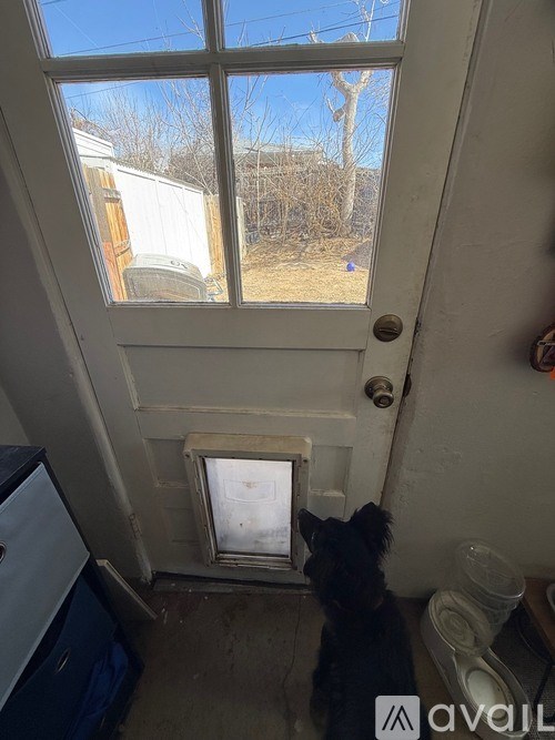 A dog is looking out of a window in a room with a dirty floor.