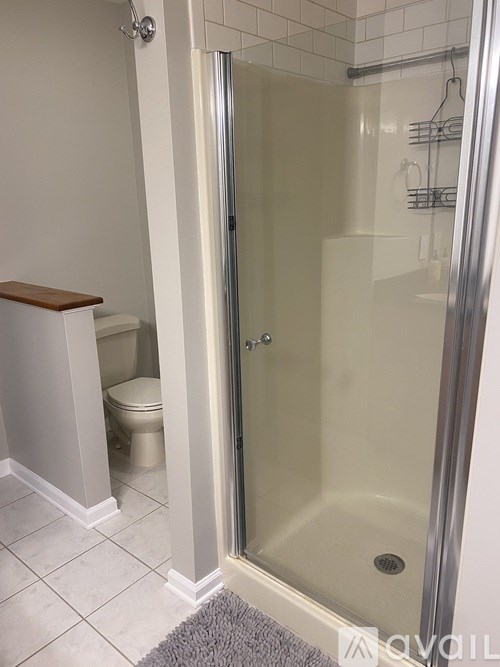 A bathroom with a walk in shower and toilet.