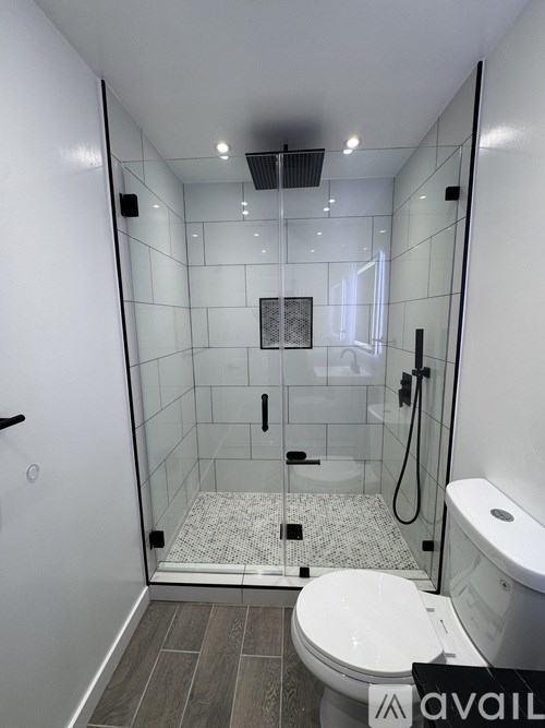 A bathroom with a walk-in shower and a toilet.