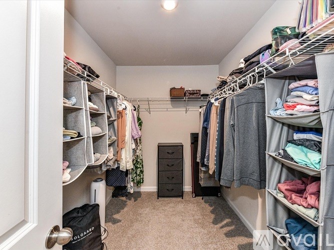 A walk-in closet with clothes on shelves and hanging on racks.