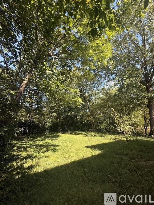 A grassy area with trees and sunlight filtering through the leaves.