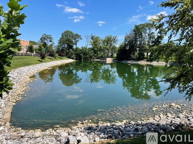 A calm pond surrounded by greenery and a clear blue sky.