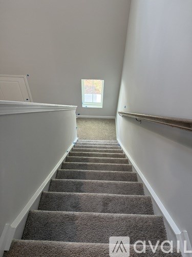 A staircase with a carpeted runner and white walls.