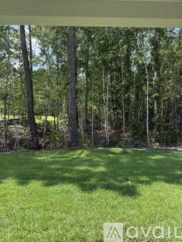 A grassy area with trees in the background.