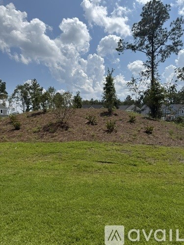 A grassy field with a hill and trees in the background.