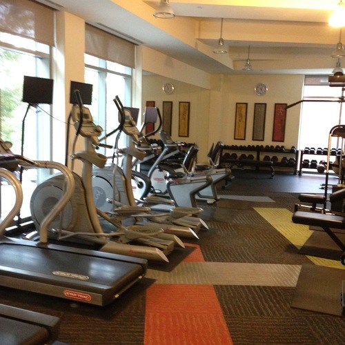 A gym with treadmills and exercise equipment.