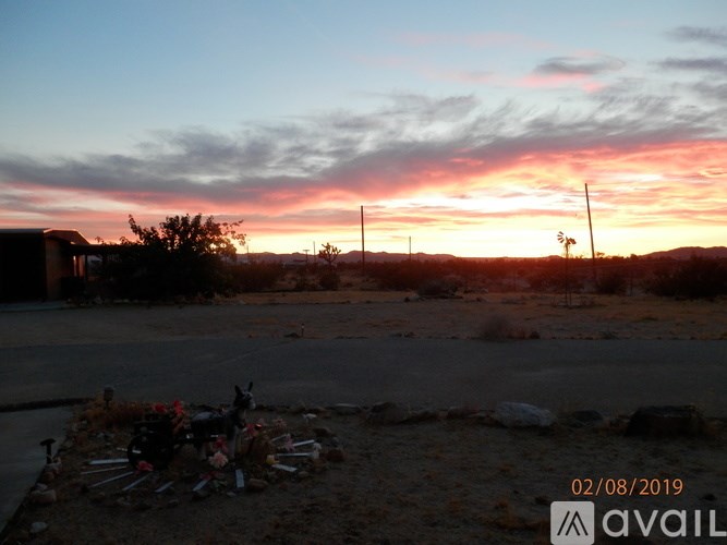 A sunset view with a dog statue in the foreground.