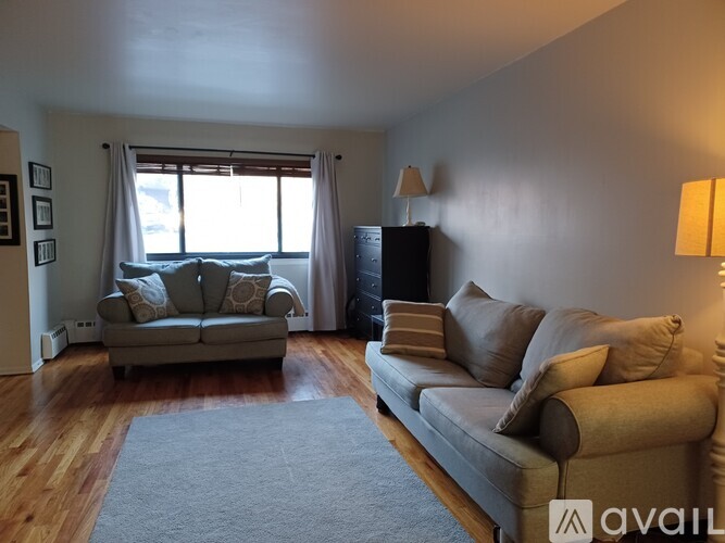 A living room with a grey couch and a grey rug.