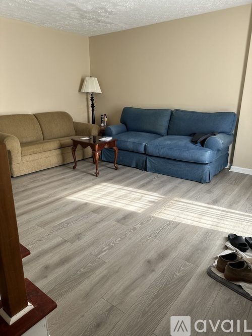A living room with a blue couch, a brown couch, and a lamp.