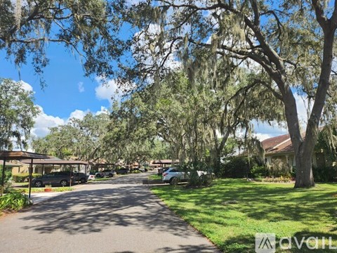 A tree-lined street with cars parked on the side.