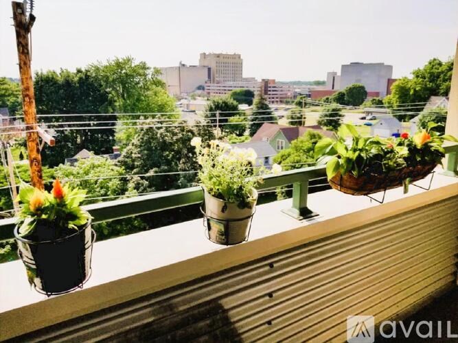 A balcony with potted plants and a view of the city.