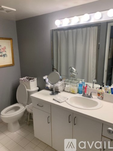 A bathroom with a toilet, sink, and mirror.