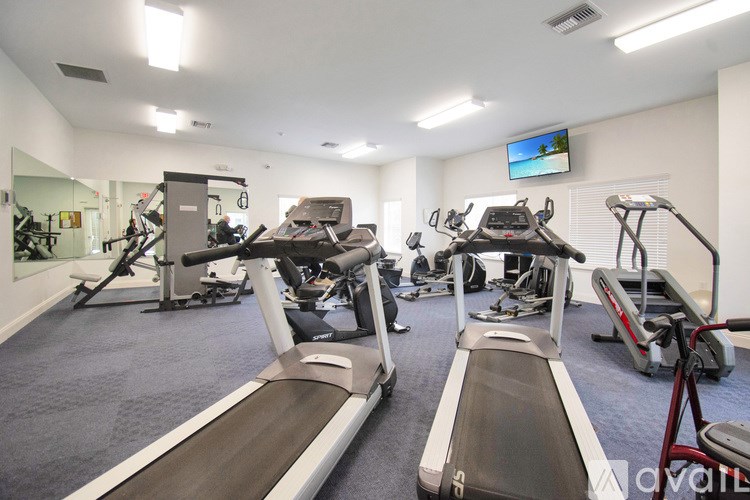 A gym with treadmills, exercise bikes, and other equipment.