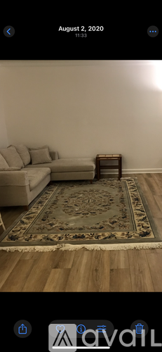 A living room with a couch and a rug.