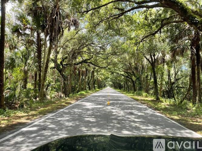 A tree-lined road stretches into the distance.