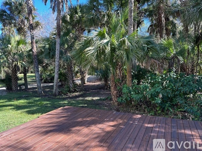 A wooden deck is surrounded by greenery and palm trees.