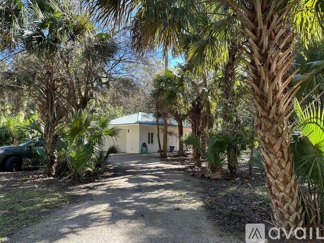 A house surrounded by palm trees with a driveway leading to the front door.