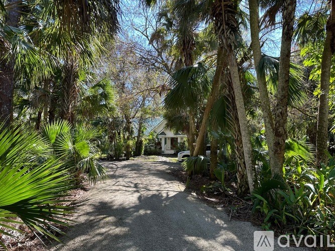 A pathway surrounded by greenery leads to a house.