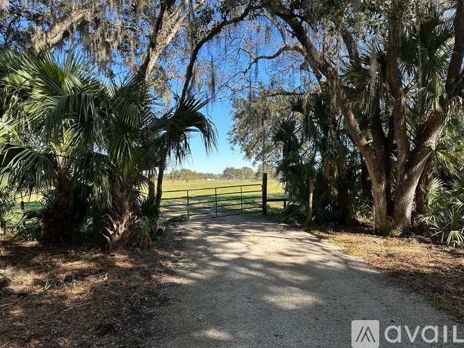 A pathway surrounded by trees and plants leading to a gate.