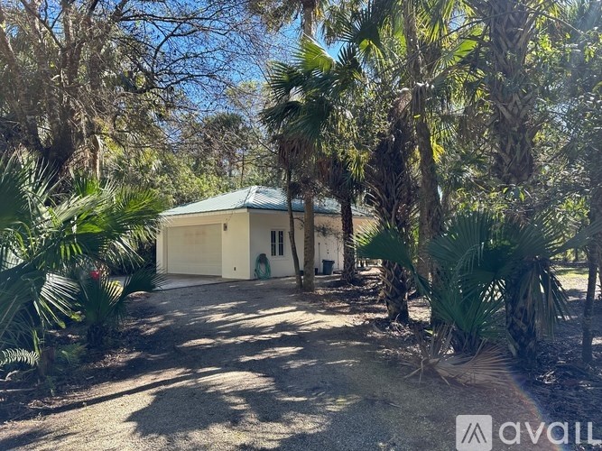 A house surrounded by palm trees and bushes.