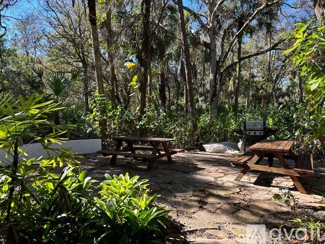 A picnic area with benches and a picnic table surrounded by trees.
