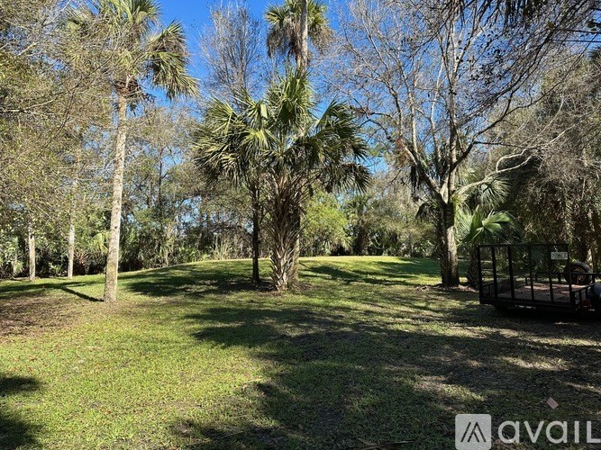A grassy area with trees and a wooden structure in the background.