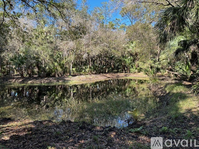 A calm pond surrounded by trees in a forest.