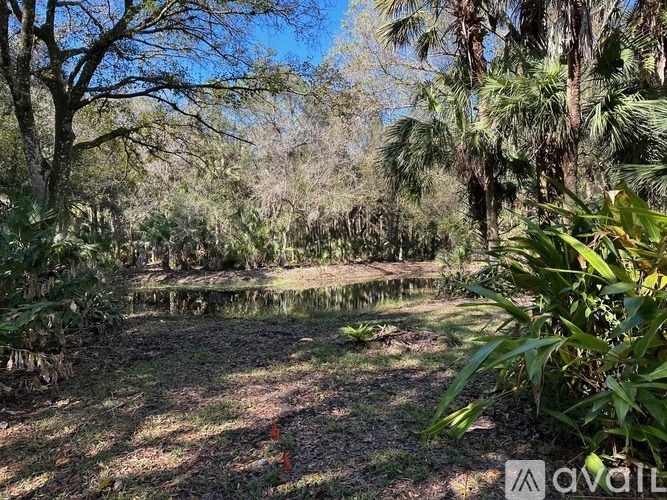 A lush green forest with a small pond in the middle.