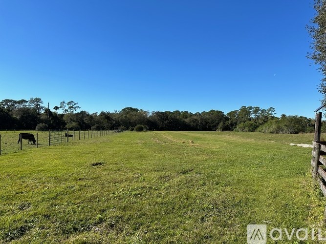 A horse is grazing in a fenced field.