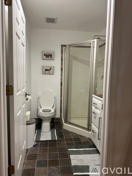 A bathroom with a toilet, a mat and a glass shower door.