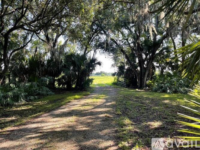 A pathway surrounded by trees and plants.