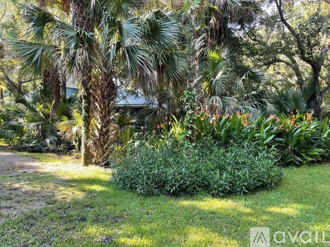 A lush green garden with a variety of plants and trees.