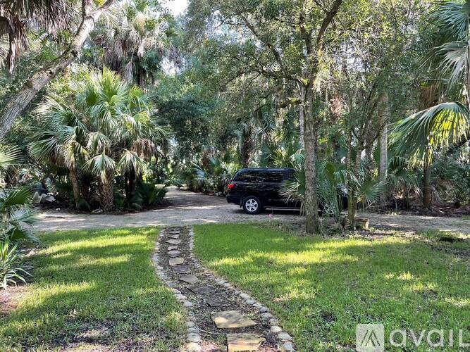 A black car is parked on a dirt road in a wooded area.