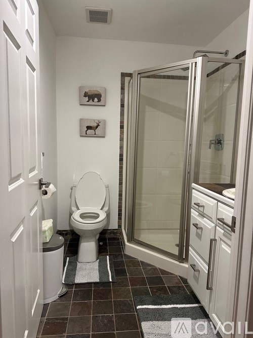A bathroom with a toilet, a mat, and a glass shower door.