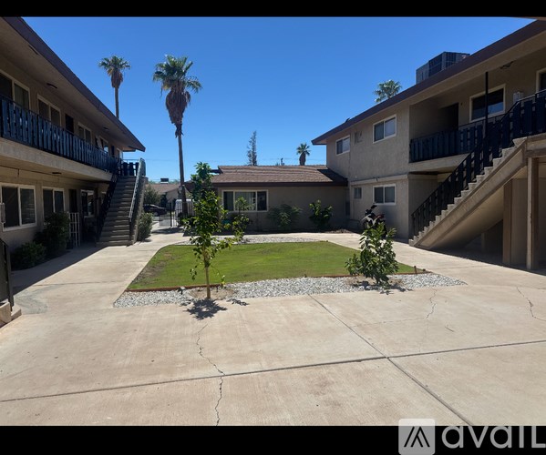 A courtyard with a palm tree and a small tree in the middle surrounded by buildings.