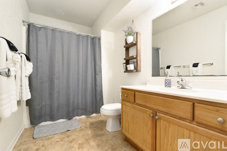A bathroom with a toilet, sink, and shower curtain.