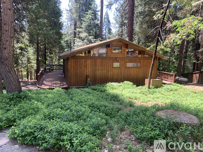 A wooden cabin is surrounded by greenery in a forest.