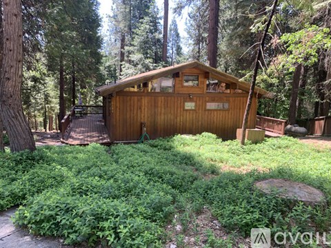 A wooden cabin is surrounded by greenery in a forest.