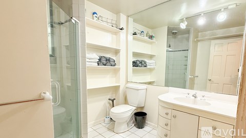 A bathroom with a glass shower door, a toilet, a sink, and a mirror.