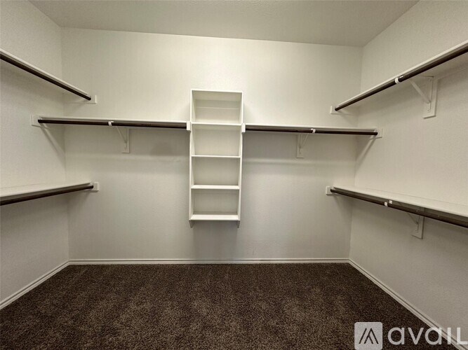 Empty walk-in closet with shelves and carpeted floor.