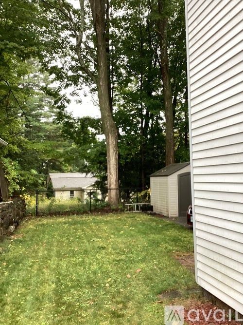A backyard with a shed and trees.