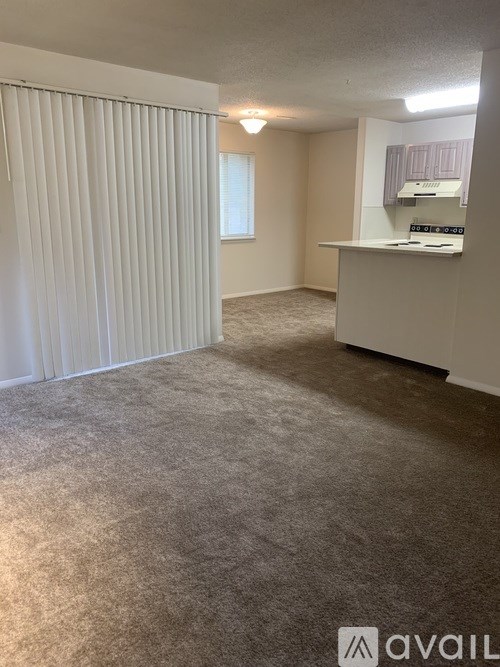 A room with a carpeted floor and a window with blinds.