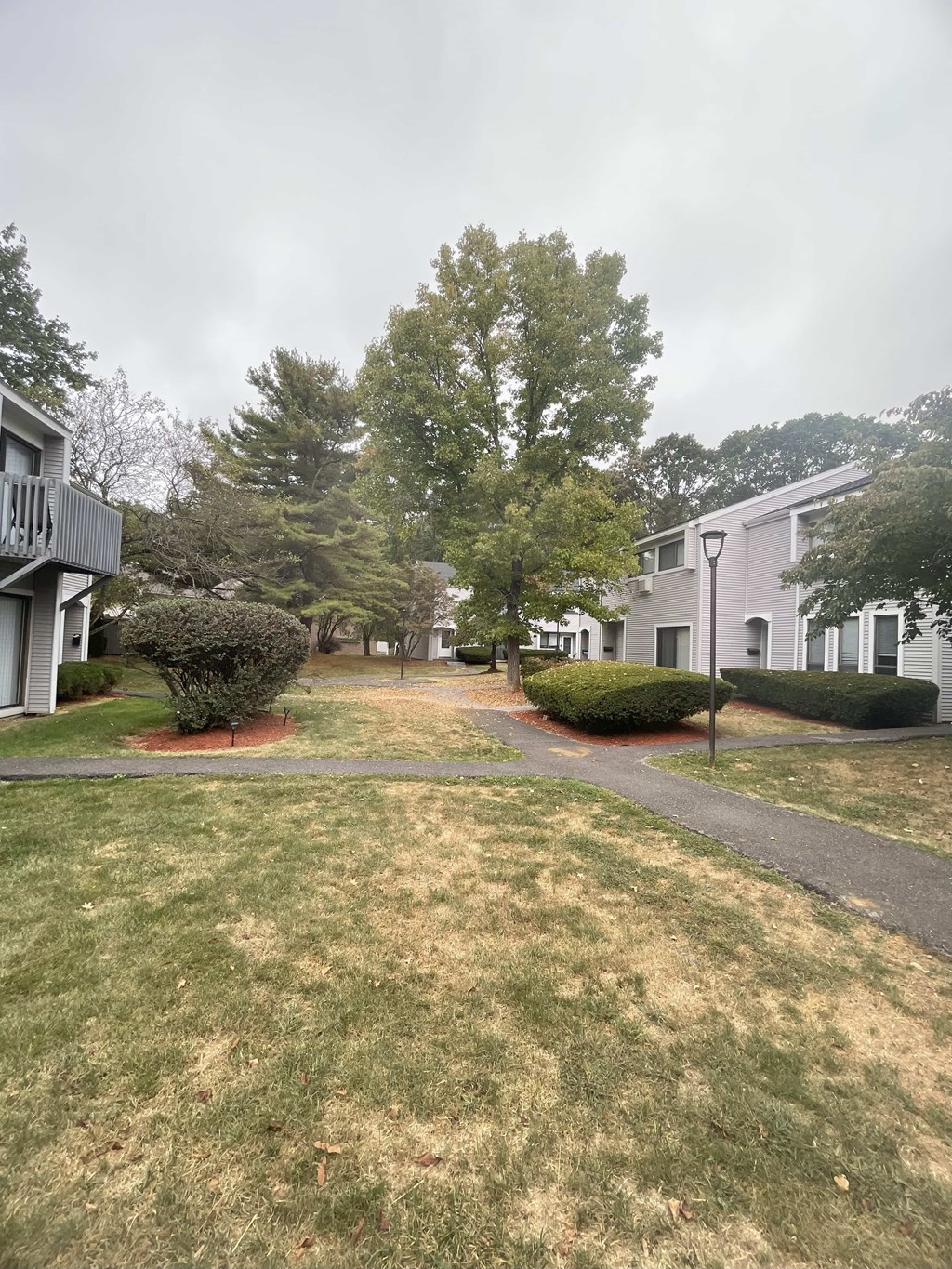 A grassy area with a walking path in front of a building.