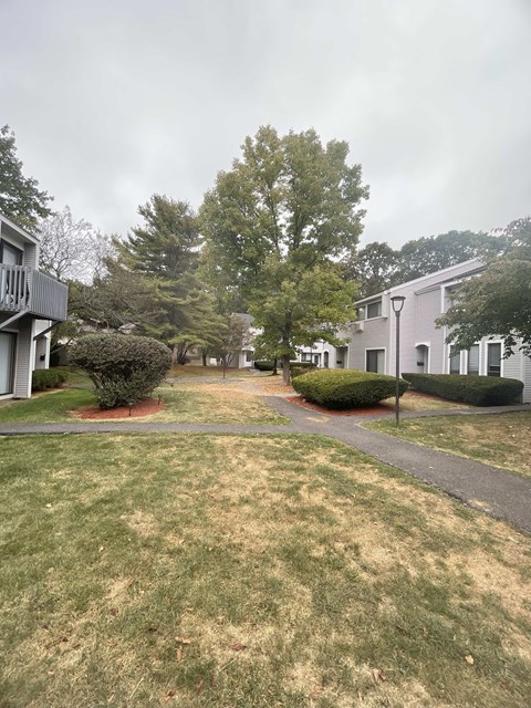 A grassy area with a walking path in front of a building.